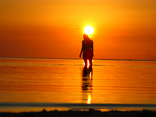 Imagination Island: find out how society got where it’s going!