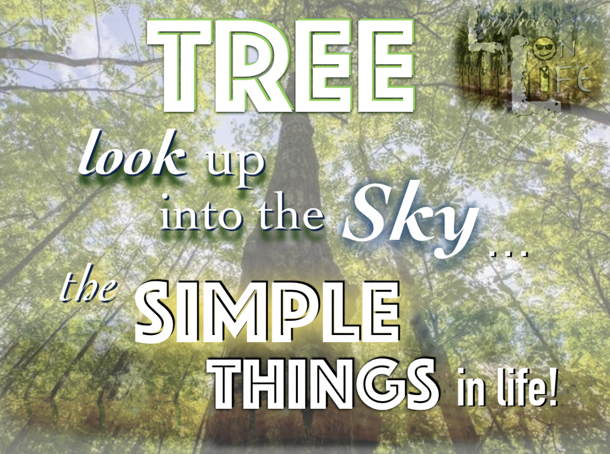 “A Tree in the Sky and Simple Things in Life!” #132